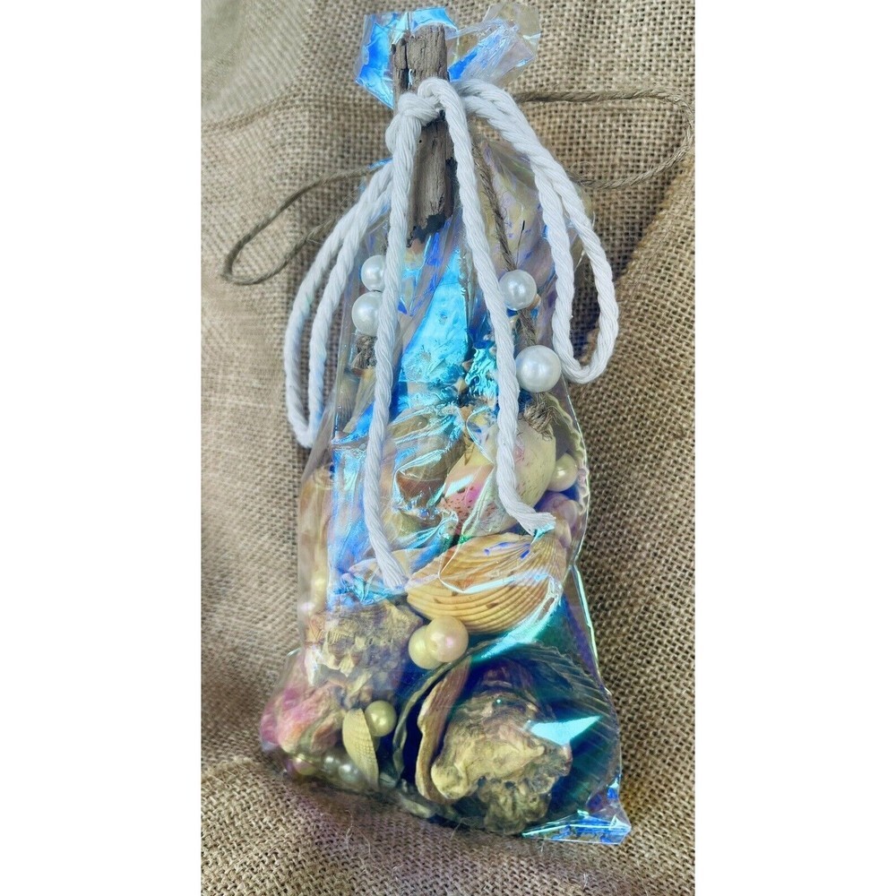 Gift Bag Of Beautiful Seashells Sourced From Coastal SE Georgia And NE Florida - Picture 4 of 16